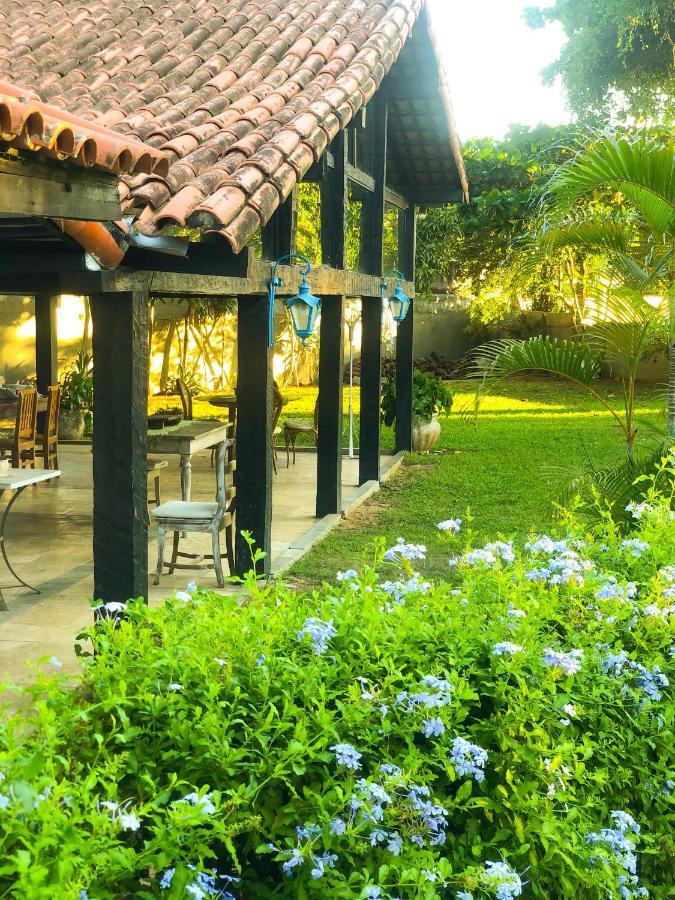 Bed and Breakfast Peixe Crew Manguinhos Армасан-душ-Бузіус Екстер'єр фото